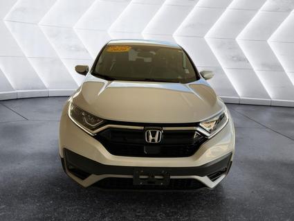 2020 Honda CR-V Evansville IN