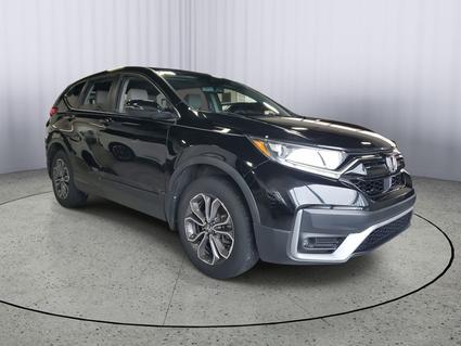 2020 Honda CR-V Kalamazoo MI