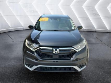 2020 Honda CR-V Evansville IN