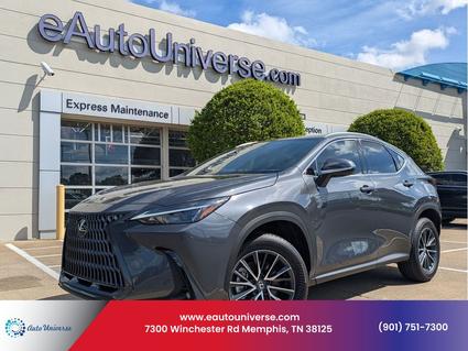 2025 Lexus NX 250 Memphis TN
