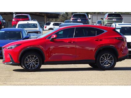 2022 Lexus NX 350 Tupelo MS