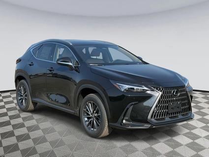 2025 Lexus NX 350 Chantilly VA