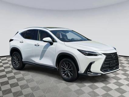2025 Lexus NX 350 Chantilly VA