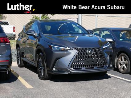 2024 Lexus NX 350 Saint Paul MN