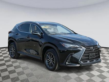 2025 Lexus NX 350 Chantilly VA