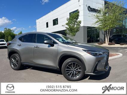 2025 Lexus NX 350 Louisville KY