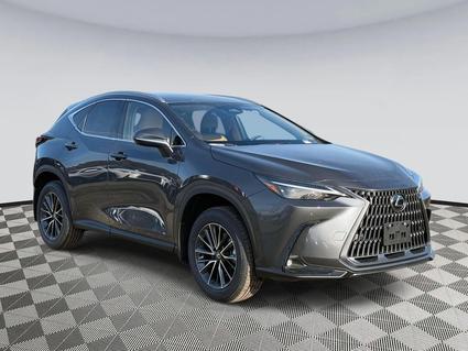 2026 Lexus NX 350 Chantilly VA