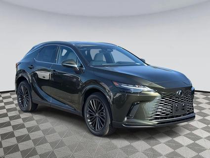 2025 Lexus RX 350 Chantilly VA