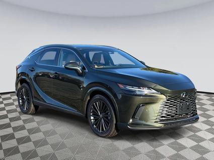 2025 Lexus RX 350 Chantilly VA