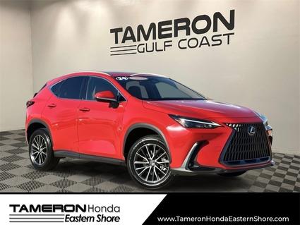 2024 Lexus NX 250 Daphne AL