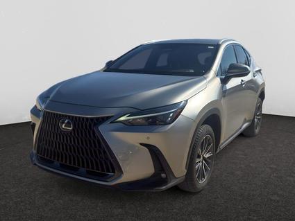 2024 Lexus NX 250 Tupelo MS