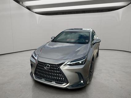 2022 Lexus NX 350 Loveland CO