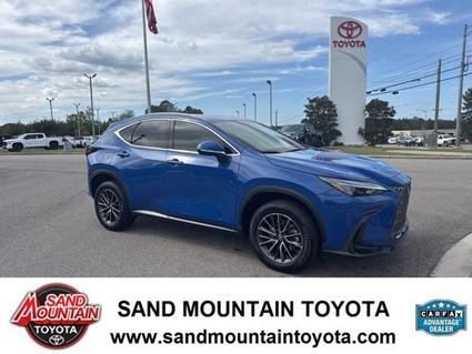 2024 Lexus NX 350 Albertville AL