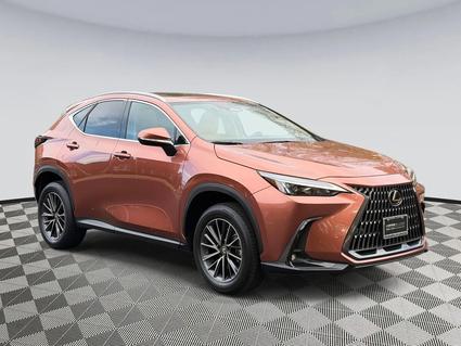 2025 Lexus NX 350 Chantilly VA