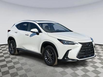 2025 Lexus NX 350 Chantilly VA