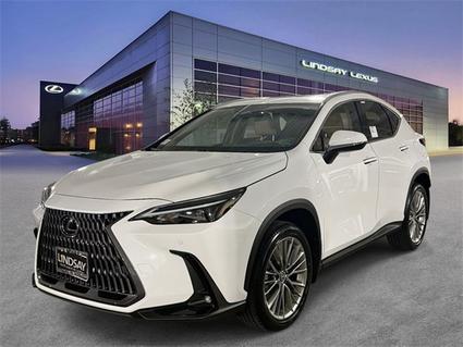 2026 Lexus NX 350 Alexandria VA