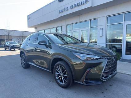 2023 Lexus NX 350 Lexington KY