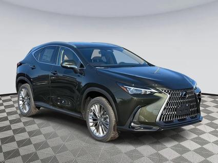 2026 Lexus NX 350 Chantilly VA