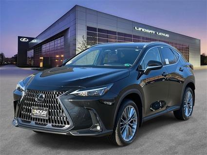 2026 Lexus NX 350 Alexandria VA