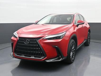 2023 Lexus NX 350 Louisville KY