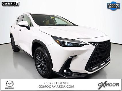 2024 Lexus NX 350 Louisville KY