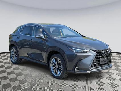 2025 Lexus NX 350 Chantilly VA