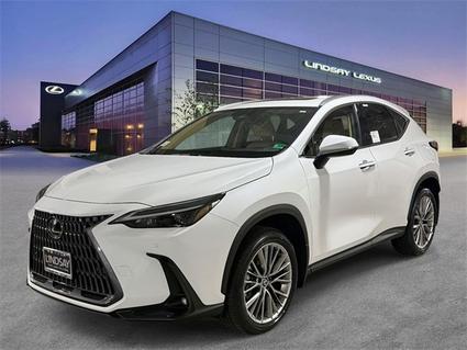 2026 Lexus NX 350 Alexandria VA