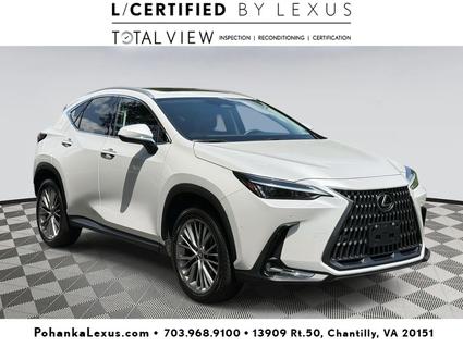 2025 Lexus NX 350 Chantilly VA