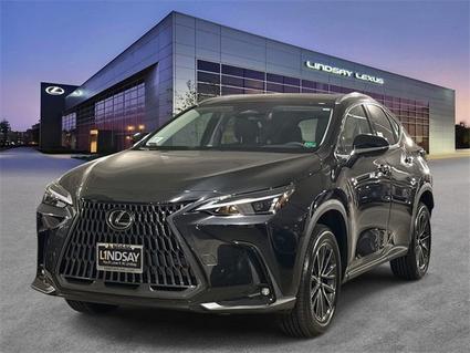 2025 Lexus NX 350 Alexandria VA