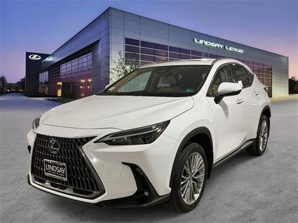 2026 Lexus NX 350 Alexandria VA