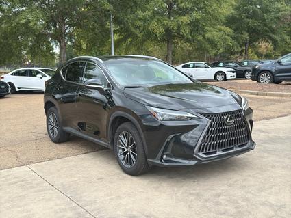 2022 Lexus NX 350 Brandon MS