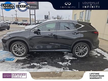 2023 Lexus NX 350 Louisville KY