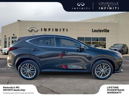 2023 Lexus NX 350 Louisville KY