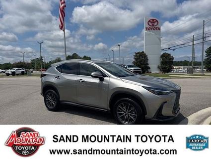 2022 Lexus NX 350 Albertville AL
