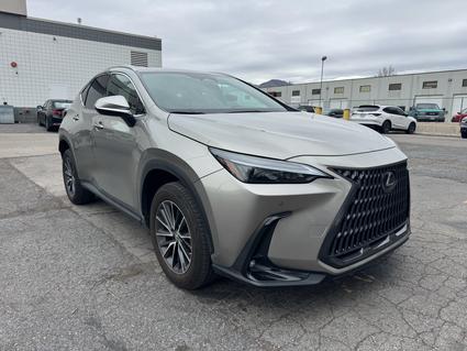 2023 Lexus NX 350 Salt Lake City UT