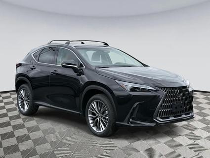 2025 Lexus NX 350 Chantilly VA