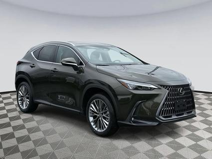 2026 Lexus NX 350 Chantilly VA