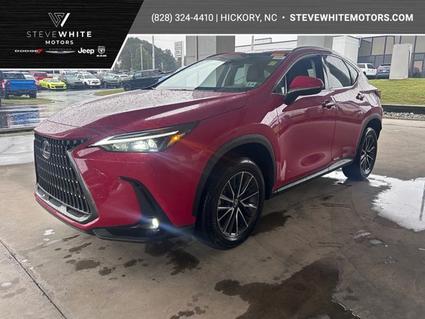 2024 Lexus NX 350 Newton NC