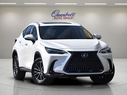 2024 Lexus NX 350 Lexington KY