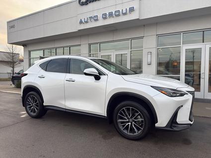 2024 Lexus NX 350 Lexington KY