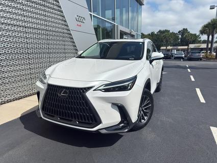 2024 Lexus NX 350 Charleston SC