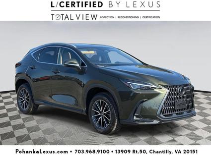2025 Lexus NX 350 Chantilly VA