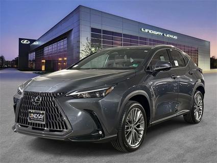 2025 Lexus NX 350 Alexandria VA