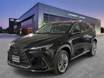 2026 Lexus NX 350 Alexandria VA