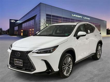 2026 Lexus NX 350h Alexandria VA