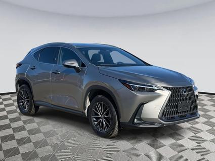 2023 Lexus NX 350h Chantilly VA