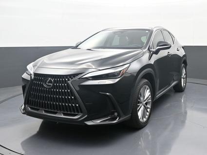 2025 Lexus NX 350 Louisville KY