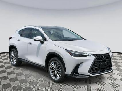 2025 Lexus NX 350 Chantilly VA