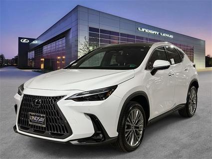 2026 Lexus NX 350 Alexandria VA