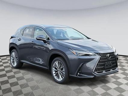 2025 Lexus NX 350 Chantilly VA